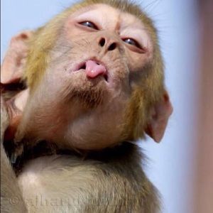 Meet your Posher, Ayaovi